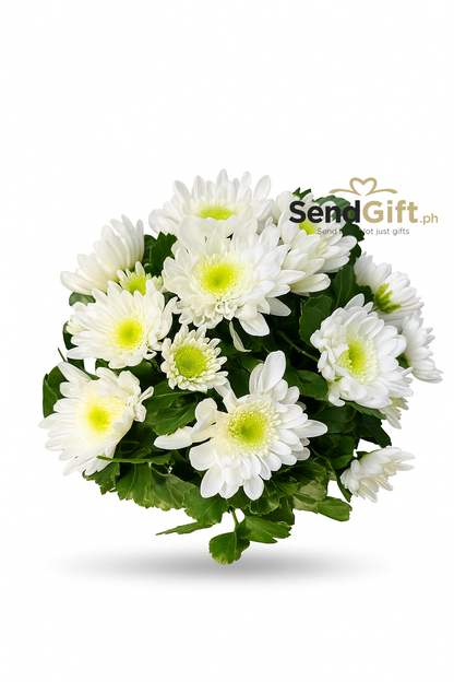 Peaceful White Mum (All Souls’ Day/ Undas Collection)