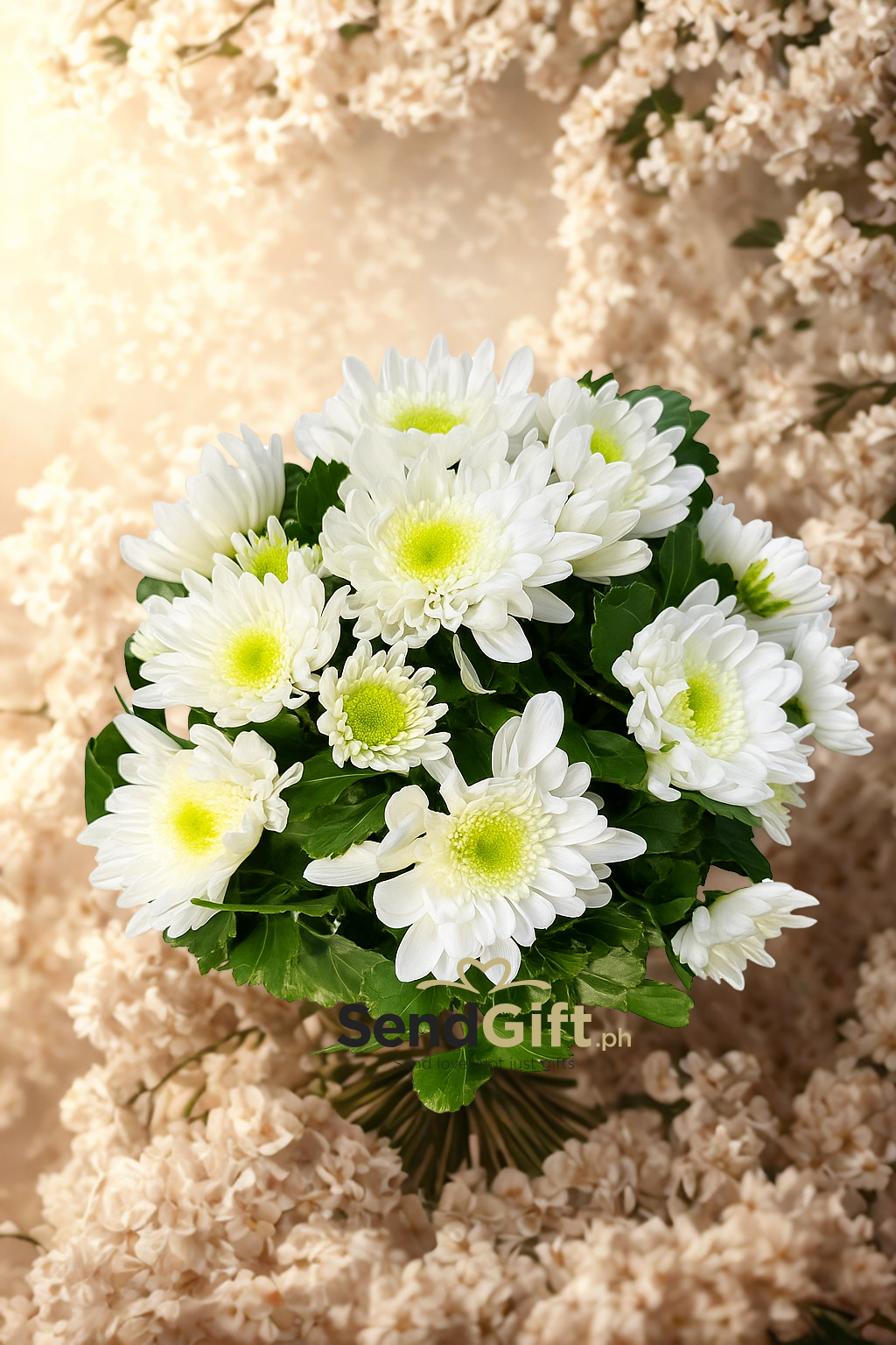Peaceful White Mum (All Souls’ Day/ Undas Collection)